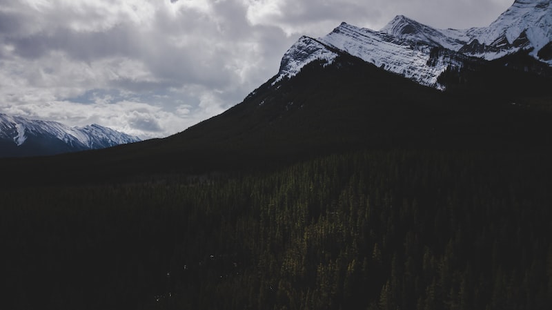 amazon canada