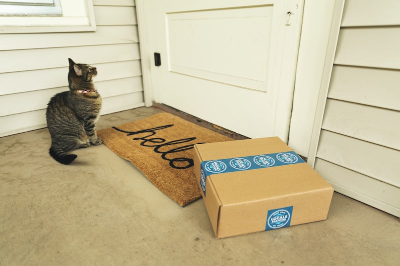 amazon delivery amazon delivery