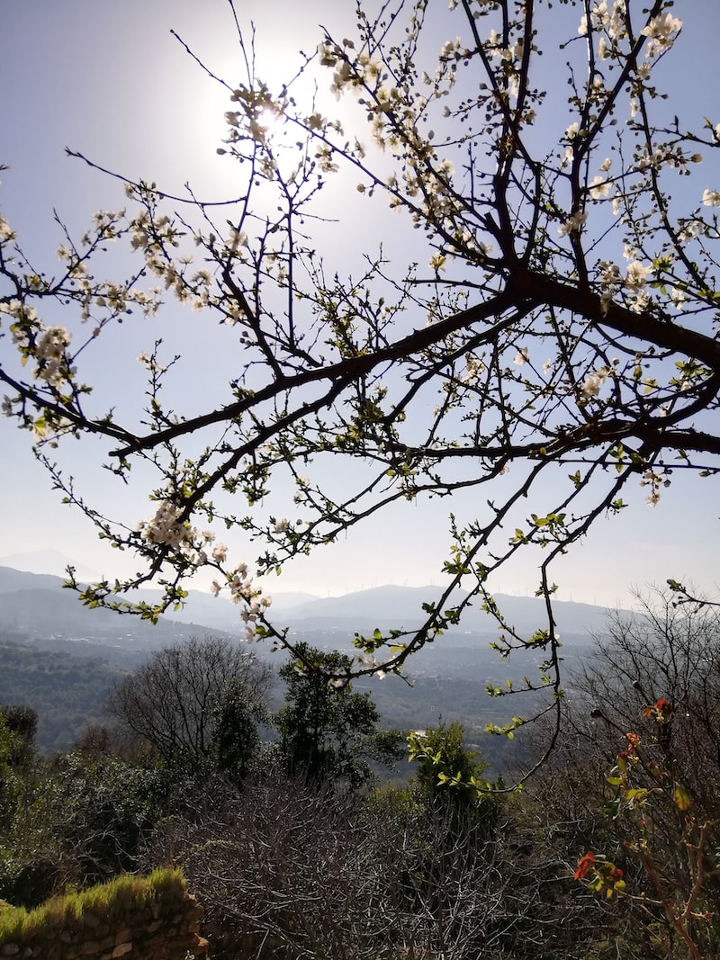 antakya askerlik şubesi antakya askerlik şubesi