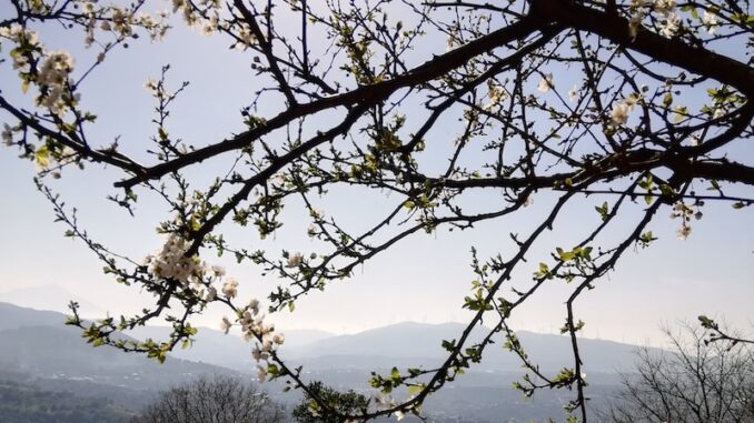 uploaded-image-antakya-elektrikci-1696843638858