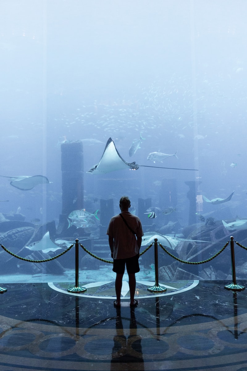 atlantis alışveriş ve eğlence merkezi fotoğraflar atlantis alışveriş ve eğlence merkezi fotoğraflar