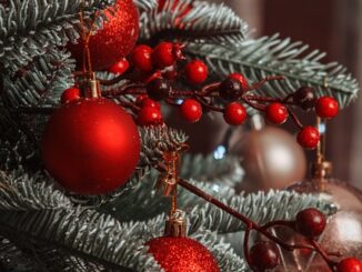 9. Birecik’te Yıl Boyunca Düzenlenen Festivaller ve Etkinlikler
